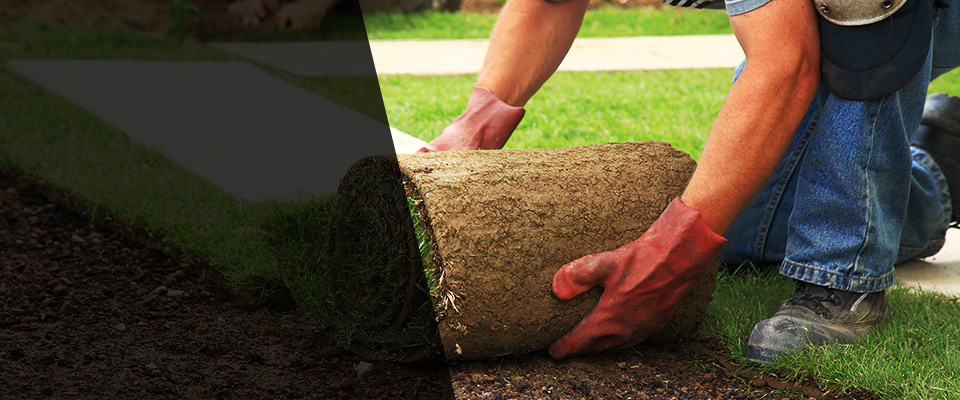 Westfield Landscapers